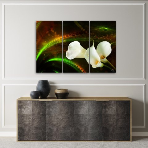 Obraz tryptyk na płótnie, White flower on brown background - 120x80