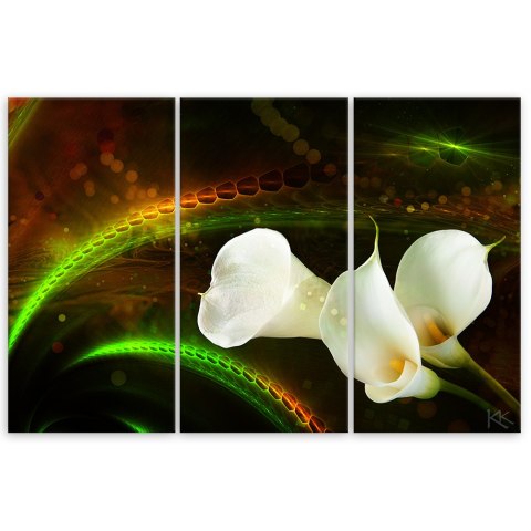 Obraz tryptyk na płótnie, White flower on brown background - 150x100