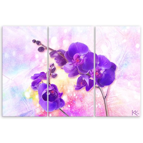 Obraz trzyczęściowy na płótnie, Fioletowy kwiat orchidei - 150x100