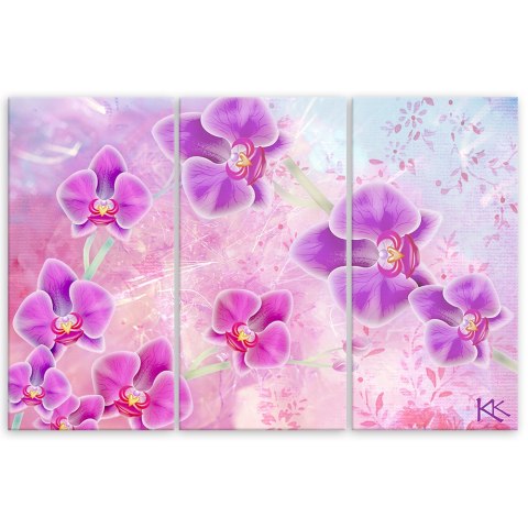 Obraz trzyczęściowy na płótnie, Orchidea Kwiaty Abstrakcja - 60x40