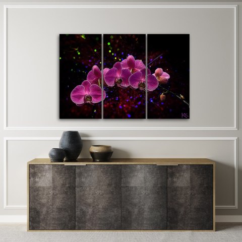 Obraz trzyczęściowy na płótnie, Orchidea na ciemnym tle - 90x60