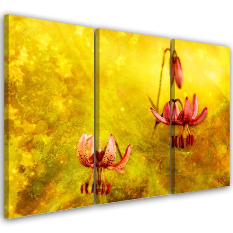 Obraz trzyczęściowy na płótnie, Zwiędłe tulipany kwiaty - 120x80
