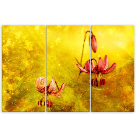 Obraz trzyczęściowy na płótnie, Zwiędłe tulipany kwiaty - 90x60