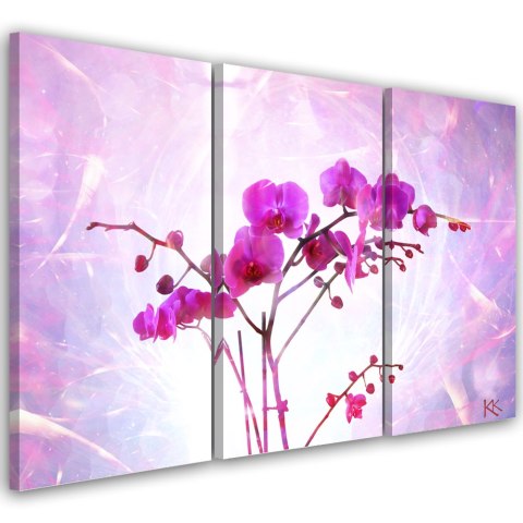 Obraz tryptyk na płótnie, Eteryczna orchidea - 120x80