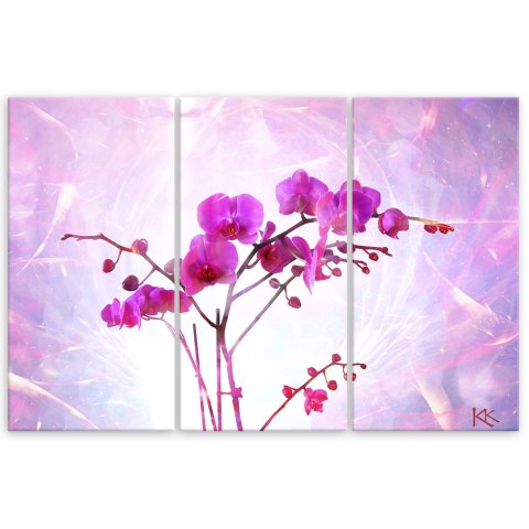 Obraz tryptyk na płótnie, Eteryczna orchidea - 120x80