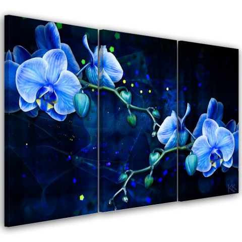 Obraz tryptyk na płótnie, Niebieski kwiat orchidei - 120x80