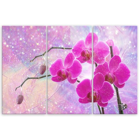 Obraz trzyczęściowy na płótnie, Eteryczna orchidea abstrakcja - 90x60