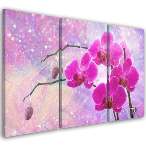 Obraz trzyczęściowy na płótnie, Eteryczna orchidea abstrakcja - 90x60