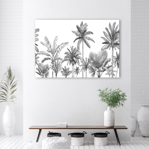 Obraz, Czarno białe palmy - 100x70