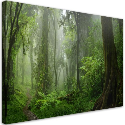 Obraz na płótnie, Tropikalny las dżungla - 90x60