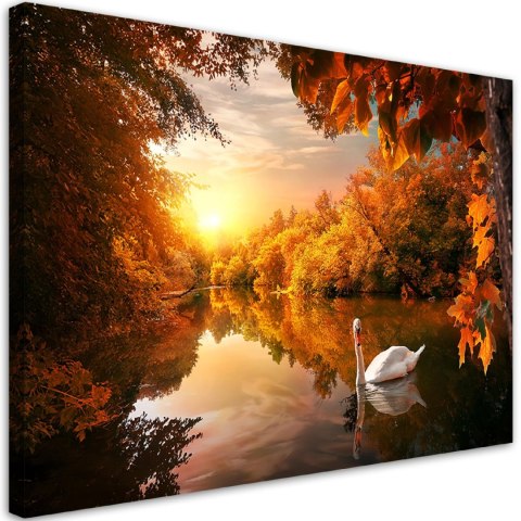 Obraz na płótnie, Łabędź na stawie jesień - 90x60