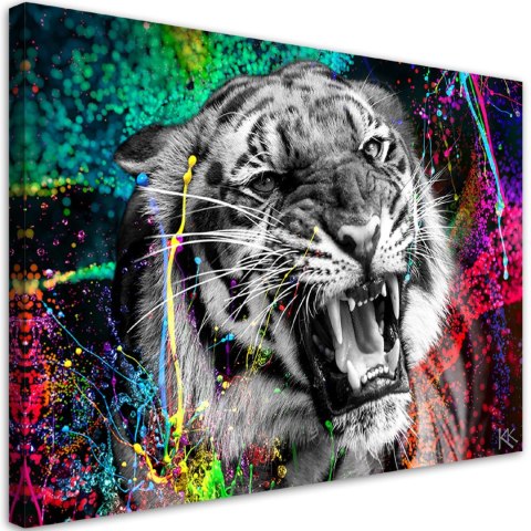 Obraz na płótnie, Tygrys zwierze natura - 100x70