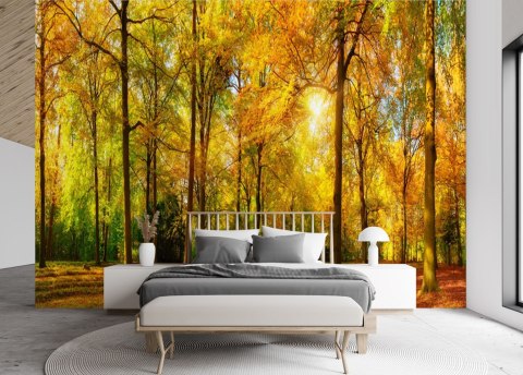 Fototapeta, Jesienny las - 100x70