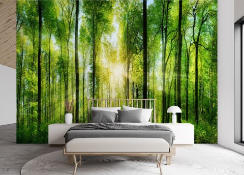 Fototapeta, Promienie słońca w zielonym lesie - 350x245
