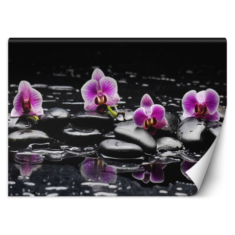 Fototapeta, Kamienie zen orchidea - 100x70