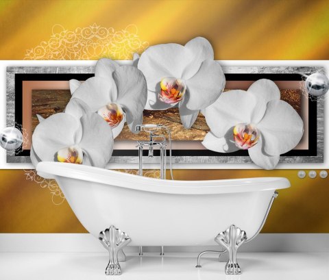 Fototapeta, Geometria i orchidea - 400x280