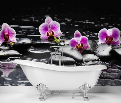 Fototapeta, Kamienie zen orchidea - 200x140