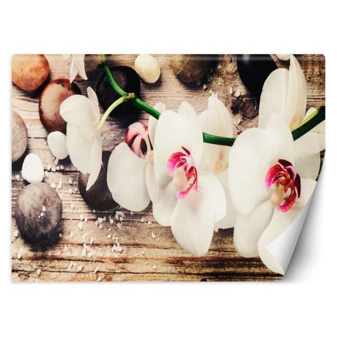 Fototapeta, Orchidea zen feng shui - 350x245