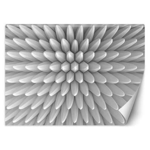 Fototapeta, Abstrakcja kolce tekstura 3D - 450x315