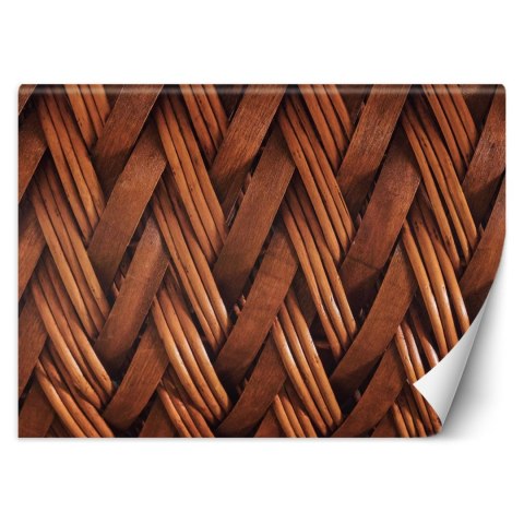 Fototapeta, Splot wikliny 3D - 250x175
