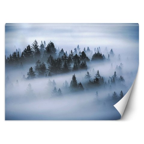 Fototapeta, Las we mgle - 350x245