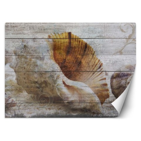 Fototapeta, Muszle w stylu vintage - 300x210