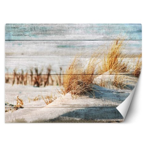 Fototapeta, Wydmy plaża na drewnie - 100x70