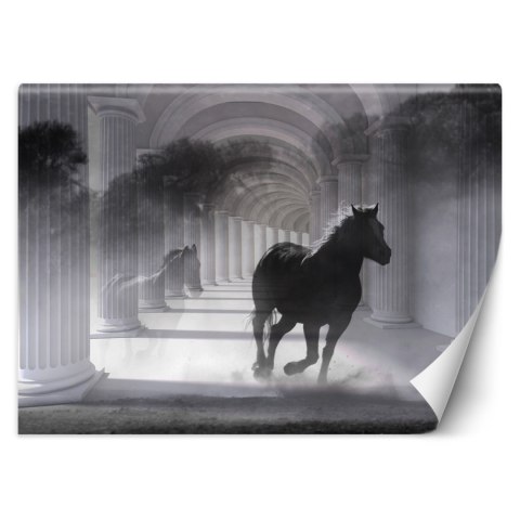 Fototapeta, Tunel biegnący koń efekt 3D - 100x70