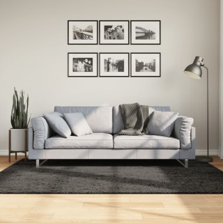 Dywan ISTAN z długim runem, połyskujący, antracytowy 140x200 cm