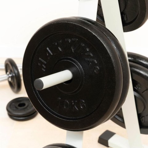 MAXXIVA Zestaw obciążników 2 x 10 kg, żeliwo