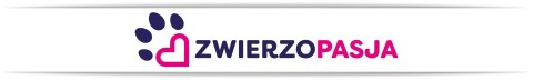 Szelki dla psa ASTRO błękitne rozmiar L