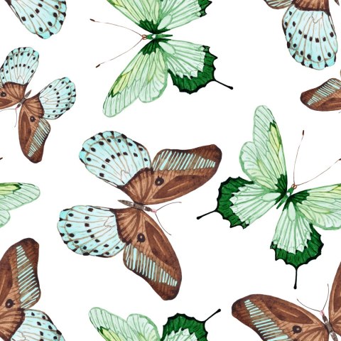 Tapeta Do Kuchni, Motyle, Natura, Przyroda