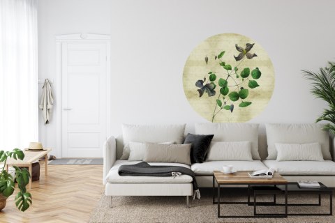 Fototapeta Okrągła Rycina Botaniczna W Stylu Vintage Iii