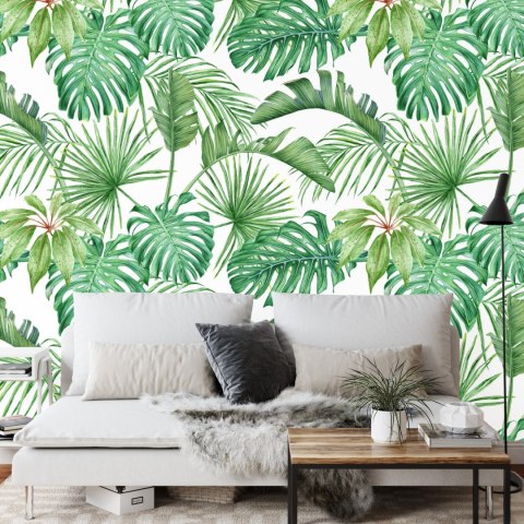 Fototapeta Liście Monstera