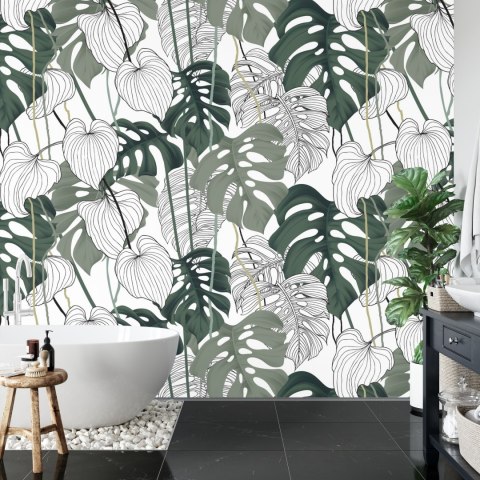 Fototapeta Liście Monstera