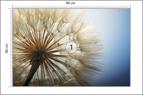Fototapeta Dmuchawiec 3D