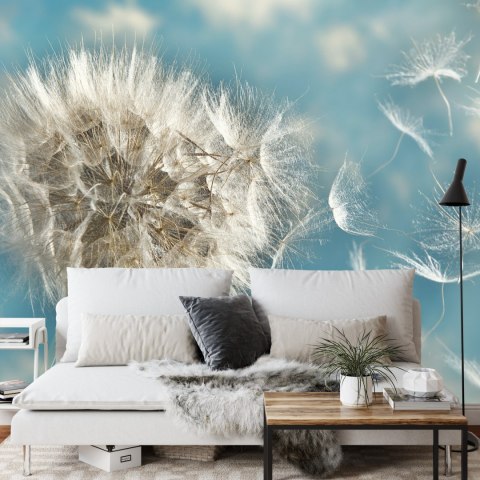 Fototapeta Dmuchawiec 3D