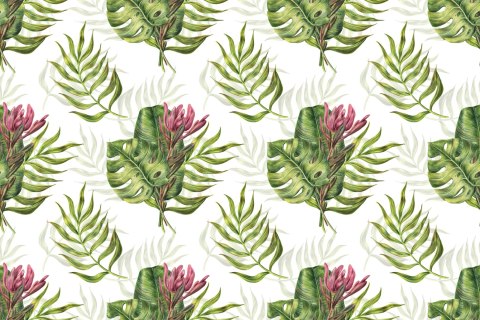 Fototapeta Liście Monstera