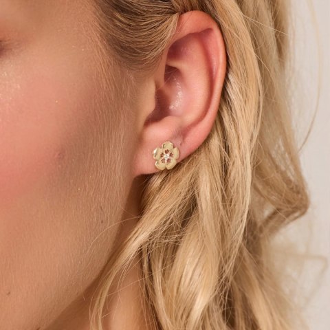 Gold earrings KXC6656 - Zirconia