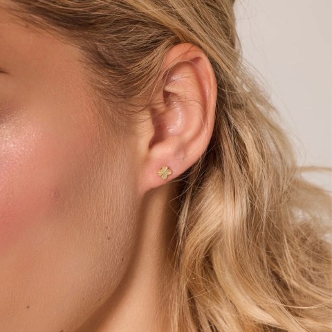Silver earrings KDK6665