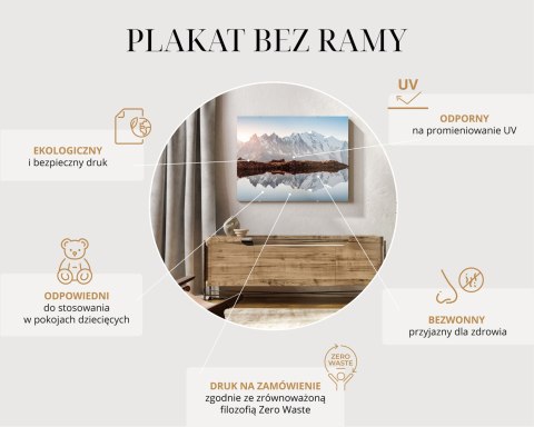 Plakat Lew Ubrany W Sweter