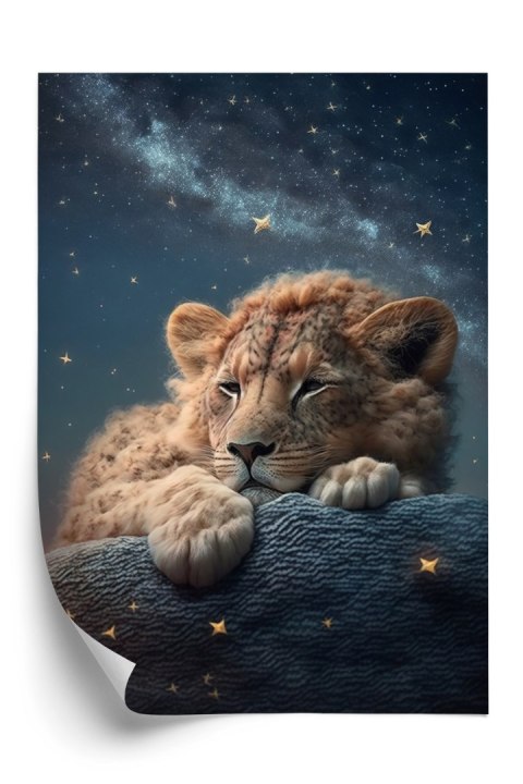 Plakat Śpiący Lew I Nocne Niebo