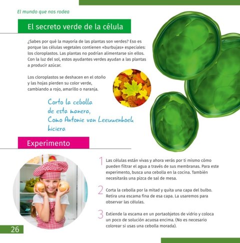 (ES) Mikroskop Levenhuk Discovery Micro z książką