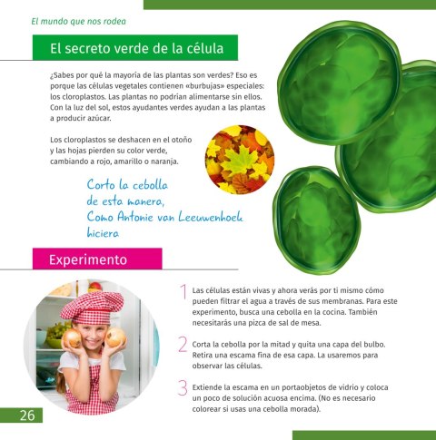(ES) Mikroskop Levenhuk Discovery Micro z książką