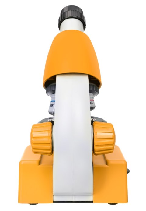 (EN) Mikroskop Levenhuk Discovery Micro z książką
