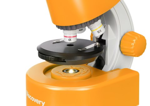 (EN) Mikroskop Levenhuk Discovery Micro z książką