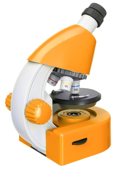 (ES) Mikroskop Levenhuk Discovery Micro z książką
