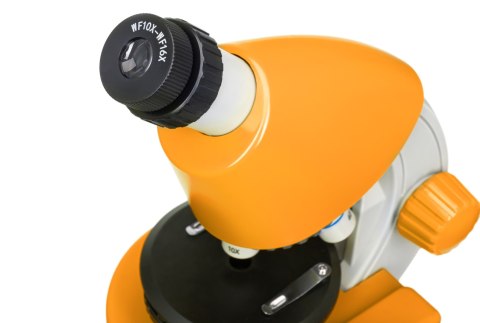 (ES) Mikroskop Levenhuk Discovery Micro z książką
