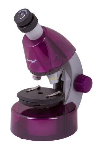 (ES) Mikroskop Levenhuk LabZZ M101