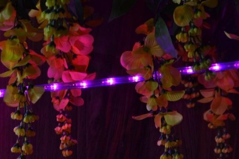 LED świetlny kabel - 240 diod, 10 m, różowy